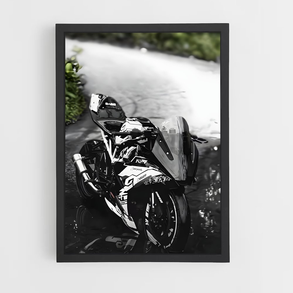 Poster rr-s magnifique – affiche Beta (vue 2)